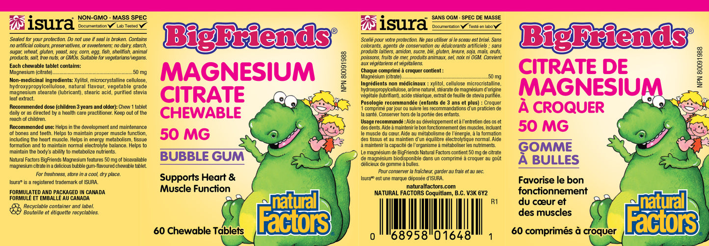 Big Friends Magnesium Citrate bubblegum 60 chews