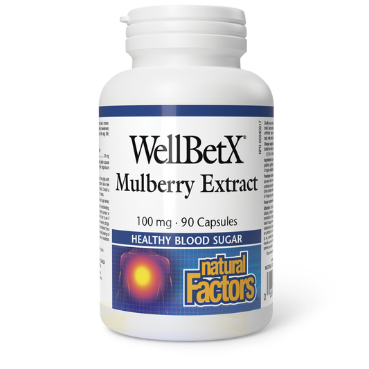 WellBetX Mulberry Extract 100mg 90caps